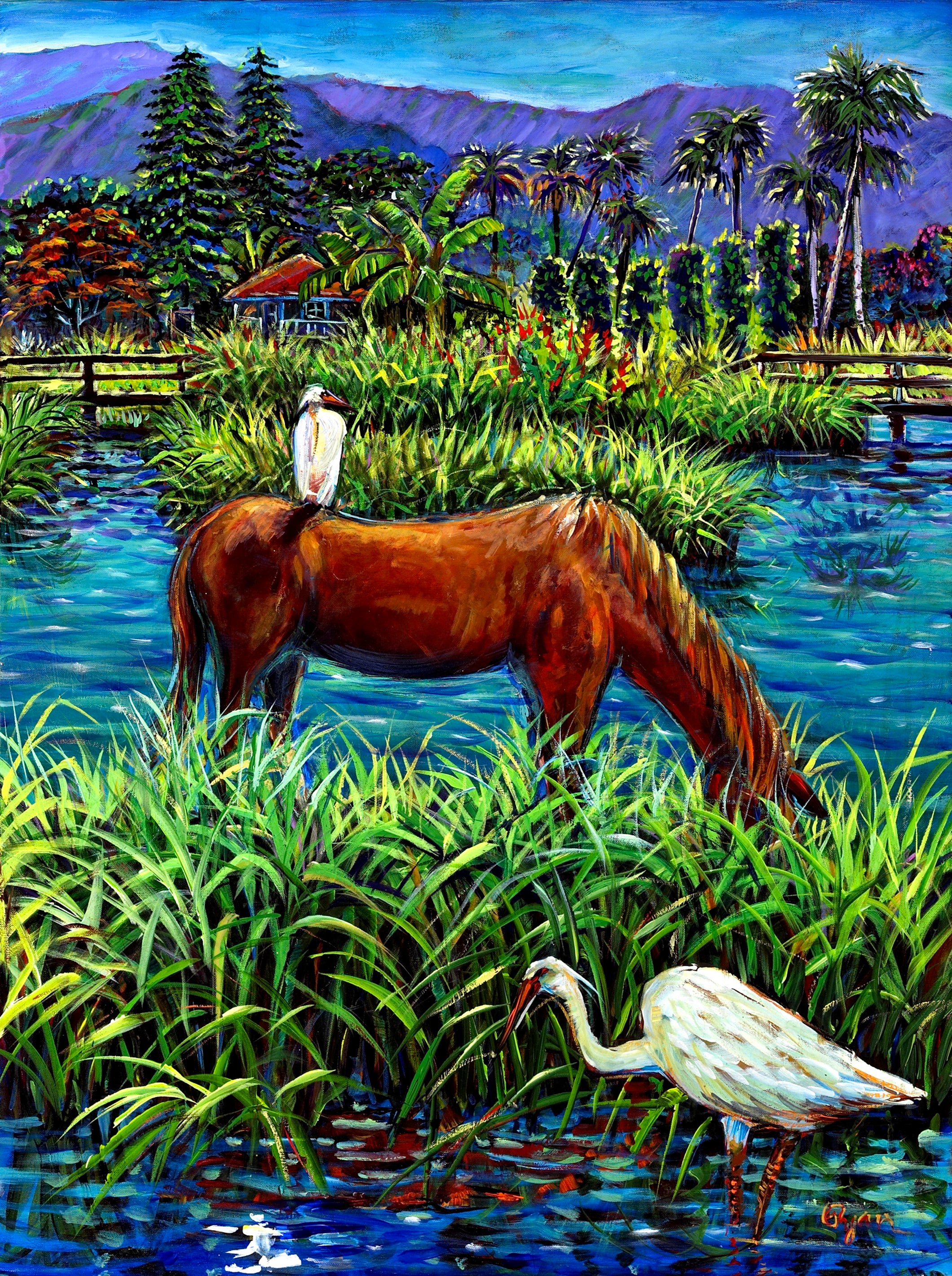 web HawaiianHorse.jpg